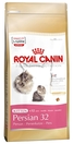 Royal Canin Kitten Persian 32 /за персийски котки от 4 до 12 месеца/  - 0.4 кг