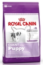 Royal Canin Giant Puppy /гигантски породи от 5 до 8 месеца/ - 15 кг