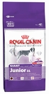 Royal Canin Giant Junior /гигантски породи от 8 до 18 месеца/ - 15 кг