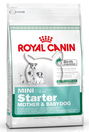 Royal Canin Mini Starter M&B /за отбиване на кученца, бременни и кърмещи кучета от дребни породи/ - 3 кг