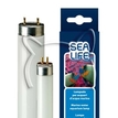 Sealife 18W T8 /лампа за аквариум/ - 60 см.