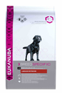 Eukanuba Labrador Retriever /лабрадор ретривър/ - 12 кг