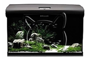 AquaEl Brillux 80 /аквариум с пълно оборудване/ - 112 литра.