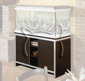 Stand Star 120 /маса за аквариум Star 120 цвят инокс/