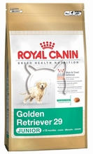 Royal Canin Golden Retriever 29 Junior /голдън ретривър от 2 до 15 месеца/ - 3 кг.