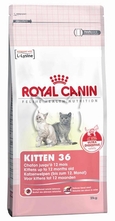 Royal Canin Kitten 36 /за котки от 4 до 12 месеца/ - 0.4 кг