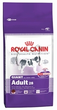 Royal Canin Giant Adult /гигантски породи  над 18 месеца/ - 4 кг.