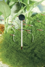 Стъклен термометър за аквариум BLU 6811, Ferplast