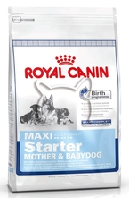 Royal Canin Maxi Starter /едри породи след отбиването до 2 месеца, както и за бременни и кърмещи кучки/ - 4 кг