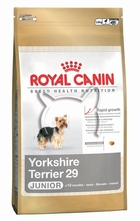 Royal Canin Yorkshire Junior /Йоркшир от 2 до 10 месеца/ - 0.5 кг