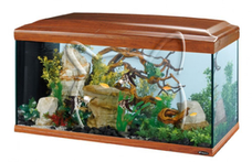 Ferplast Cayman 110 Cherry + Stand /черешов аквариум с пълно оборудване + стойка/ - 230 литра.
