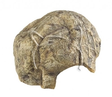 Пещера за влечуги Reptile Сavern 3, Ferplast - 24/11/28 см.