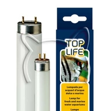 Toplife 24W T5 /лампа за аквариум/ - 55 см.