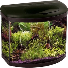 AquaEl Pearl 40 Black Oval /овален черен аквариум с пълно оборудване/ - 26 литра