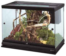 Терариум Explora 60 Black, Ferplast - 62/34/46 см