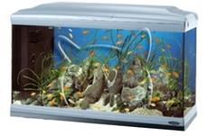 Ferplast Cayman 80 Silver /сребрист аквариум с пълно оборудване/ - 120 лира