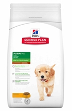 Hill's Puppy Large Breed with Chicken /с пилешко за едри порoди от 2 до 12 месеца/ - 2.5 кг