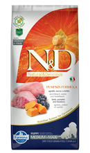 N&D Puppy Medium & Maxi Pumpkin Lamb & Blueberry - 12 кг.
